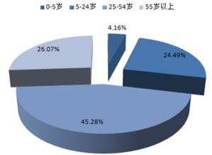 2017-2022年中國(guó)旅游電子商務(wù)市場(chǎng)運(yùn)行態(tài)勢(shì)與投資策略分析報(bào)告 聚焦國(guó)內(nèi)旅游業(yè)務(wù)經(jīng)營(yíng)
