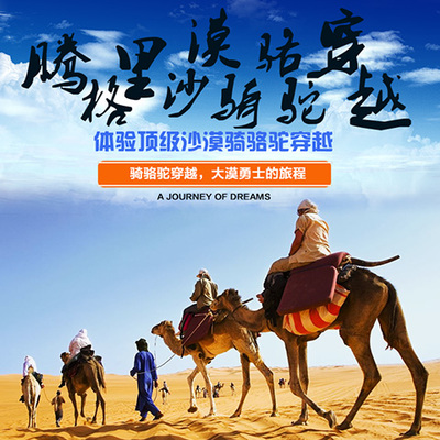 整合資源，打造專業旅游服務新生態